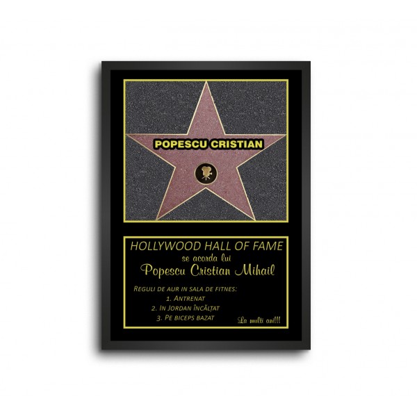Diploma Hollywood - Reguli de aur la Sala
